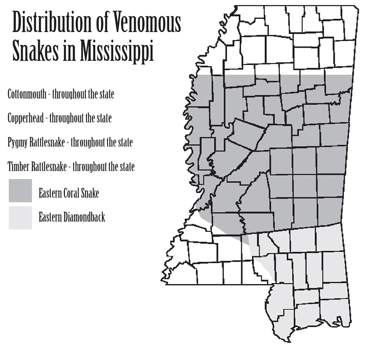 A map that shows cottonmouths, copperheads, pygmy rattlesnakes, and timber rattlesnakes are found throughout Mississippi, while Eastern Coral Snakes are found in central MS, and Eastern Diamondbacks are found in south MS.