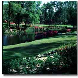 A beutiful landscape with green grass, a pond with a walking bridge over it, and colorful flowrs.